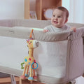 Baby-plays-with-Giraffe-Hanging-rattle-toy-in-stroller