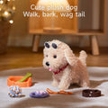 Fluffy plush puppy toy wearing small sunglasses next to its bone-shaped bowl, rope ball, leash, and paw-print remote control
